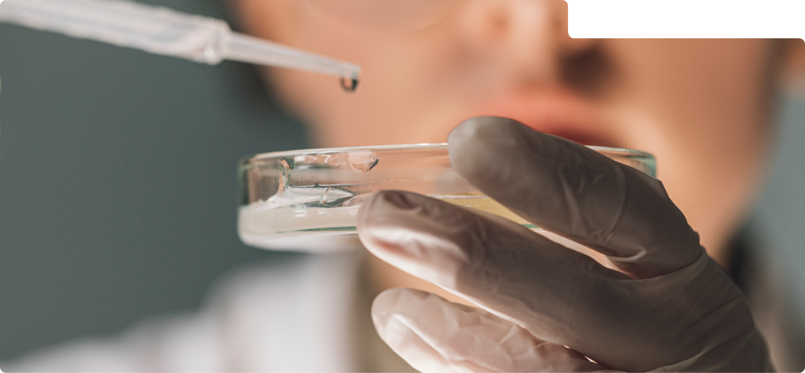Pharmaceutical and Laboratory
